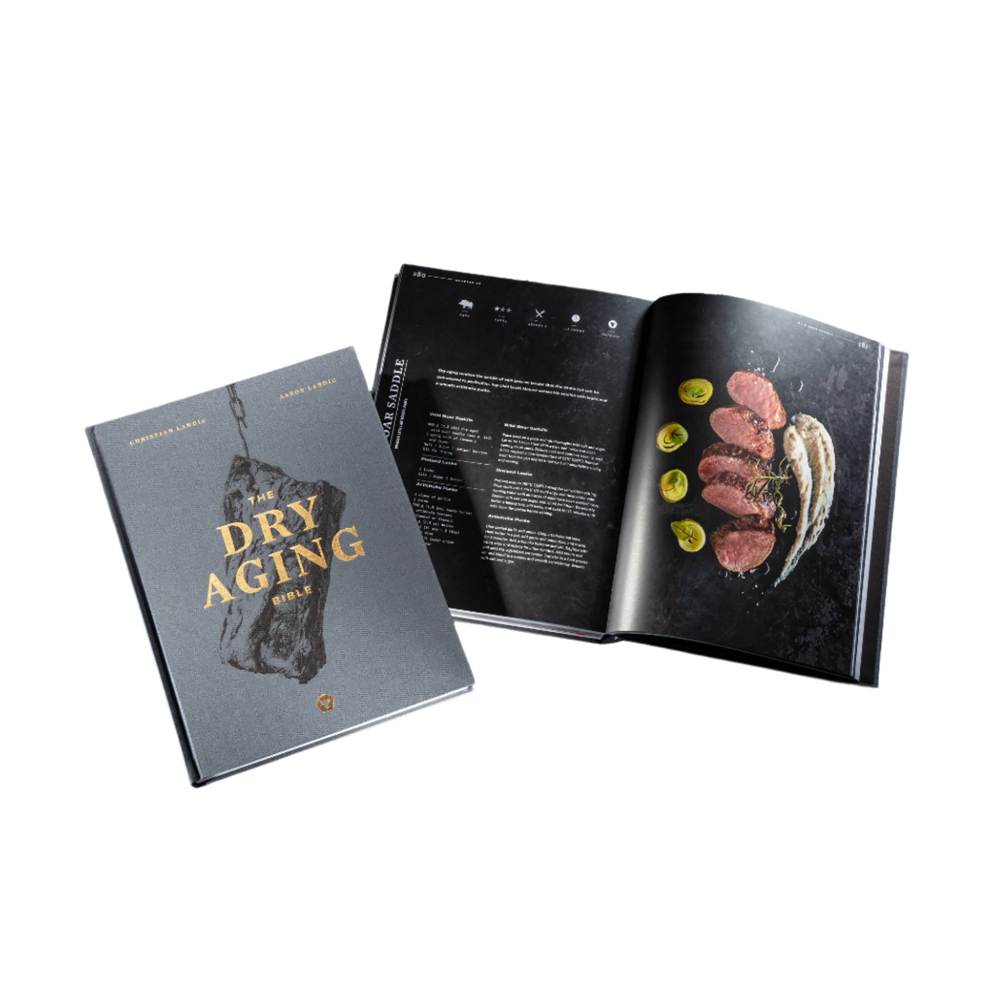 הספר "תנ"ך ההזדקנות היבשה"